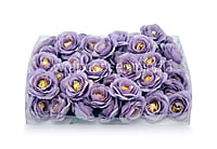 Lavender Rose Flower
