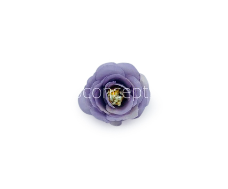 Lavender Rose Flower