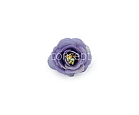 Lavender Rose Flower