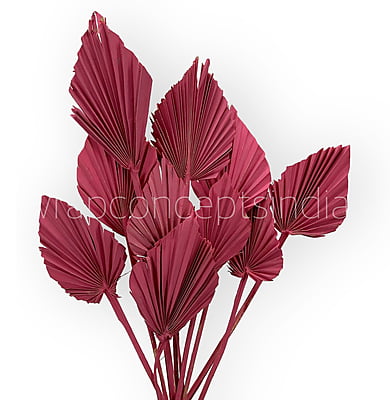 Pink Palm Spear - Big/Small