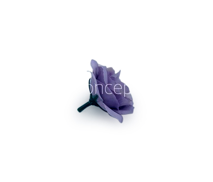 Lavender Rose Flower