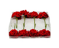 Scarlet Mini Blossoms