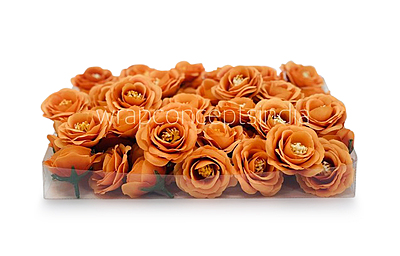 Tangerine Rose Flower