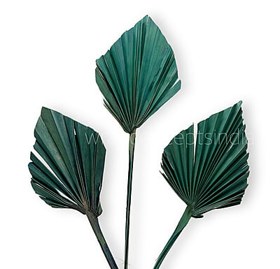 Teal Palm Spear - Big/Small