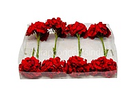 Scarlet Mini Blossoms