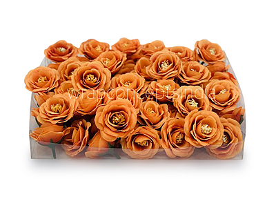 Tangerine Rose Flower
