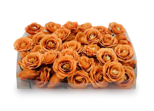 Tangerine Rose Flower
