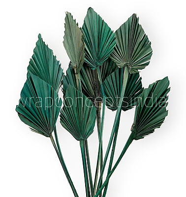 Teal Palm Spear - Big/Small