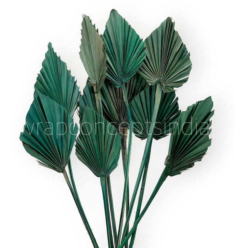 Teal Palm Spear - Big/Small