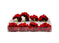 Scarlet Mini Blossoms