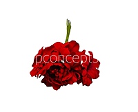 Scarlet Mini Blossoms