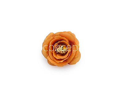 Tangerine Rose Flower