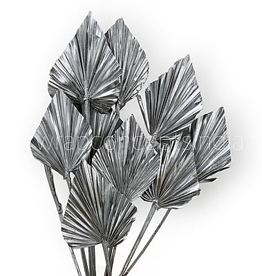 Silver Palm Spear - Big/Small