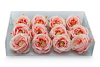 Camellia Flower - Peach with Pink