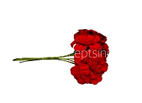 Scarlet Mini Blossoms