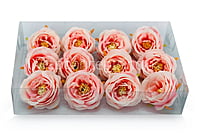 Camellia Flower - Peach with Pink