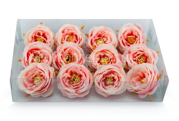 Camellia Flower - Peach with Pink
