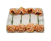 Blush Peach Mini Blossoms