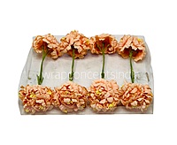 Blush Peach Mini Blossoms