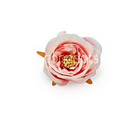 Camellia Flower - Peach with Pink