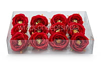 Camellia Flower - Red