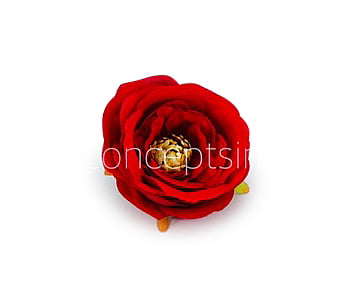 Camellia Flower - Red Camellia Flower - Red