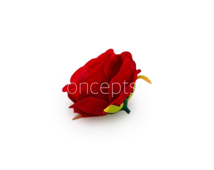 Camellia Flower - Red