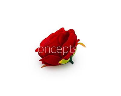 Camellia Flower - Red Camellia Flower - Red