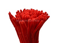 100 Pcs Pipe Cleaners for DIY Craft