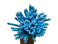 100 Pcs Pipe Cleaners for DIY Craft