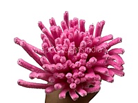 100 Pcs Pipe Cleaners for DIY Craft