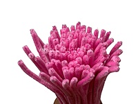 100 Pcs Pipe Cleaners for DIY Craft