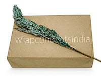 Aqua Dried Pampas Grass - Big/Small