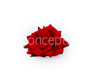 Rose With Leaves - Red