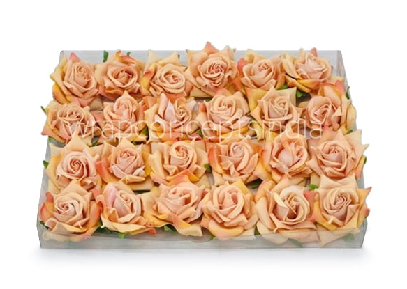 Rose With Leaves - Peach