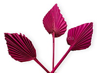 Fuchsia Pink Palm Spear - Big/Small