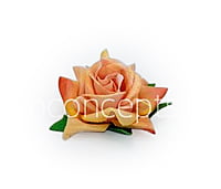 Rose With Leaves - Peach