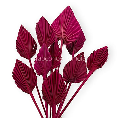 Fuchsia Pink Palm Spear - Big/Small