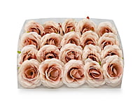 Rose - Nude with hints of Peach