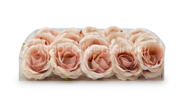 Rose - Nude with hints of Peach