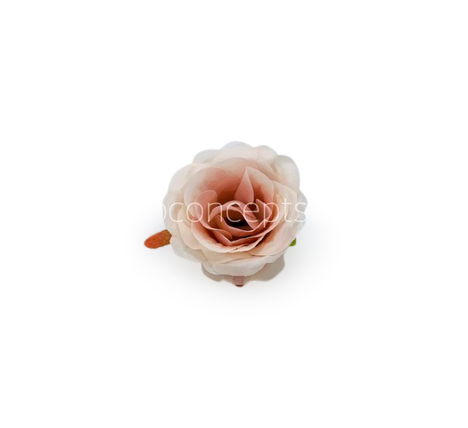 Rose - Nude with hints of Peach