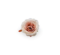 Rose - Nude with hints of Peach