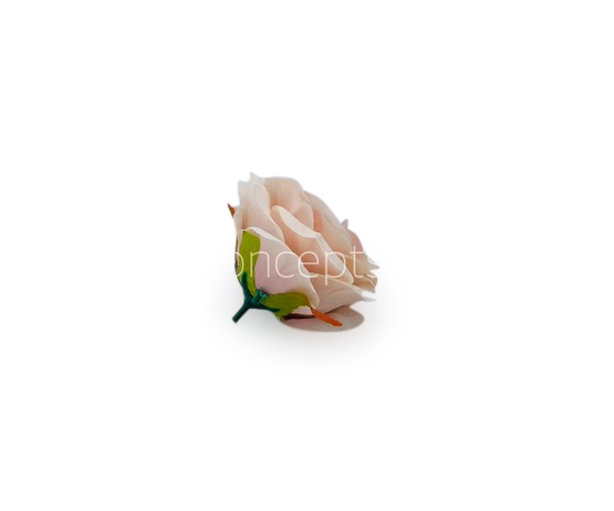 Rose - Nude with hints of Peach