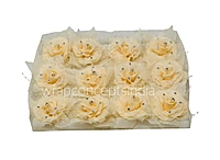 Moonlight Pearl Embellished Rose