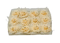 Moonlight Pearl Embellished Rose