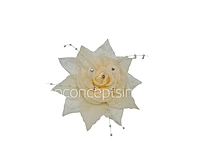 Moonlight Pearl Embellished Rose
