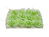 Lime Pearl Embellished Rose