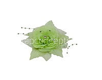 Lime Pearl Embellished Rose