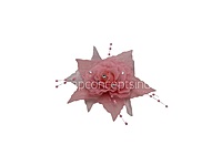 Soft Pink Pearl Embellished Rose