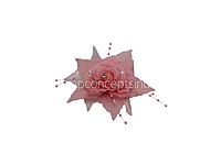 Soft Pink Pearl Embellished Rose